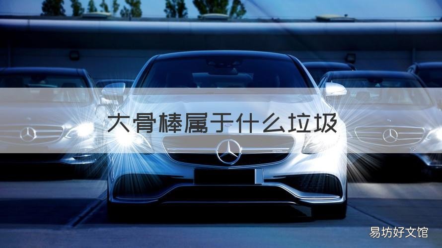 大骨棒属于什么垃圾 大骨头棒属于什么垃圾?