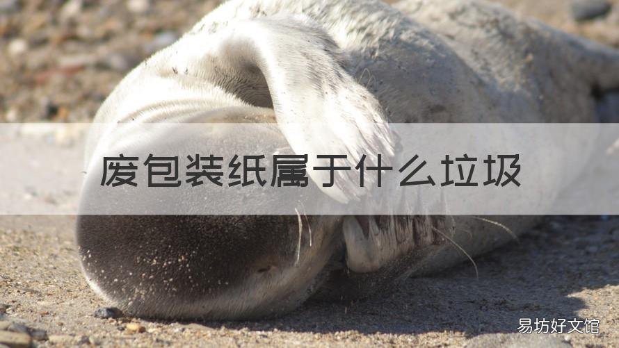 废包装纸属于什么垃圾 废纸盒属于什么垃圾