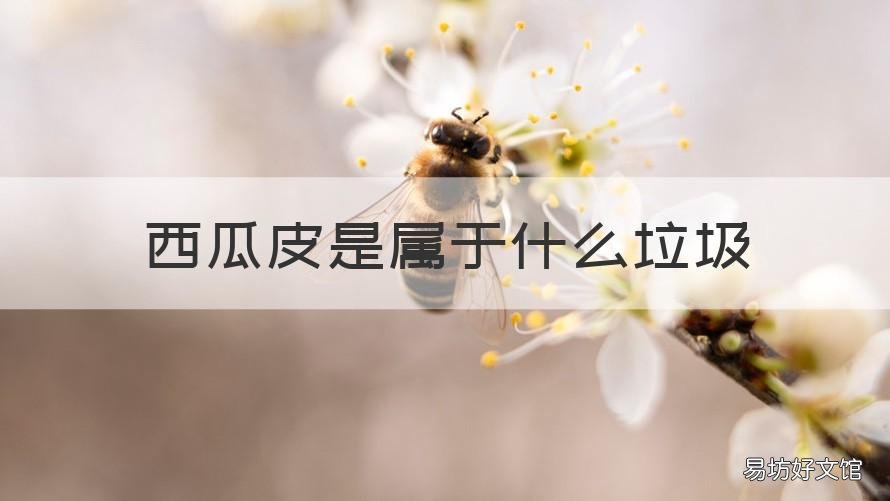 西瓜皮是屬于什么垃圾 西瓜皮屬于什么垃圾分類類別