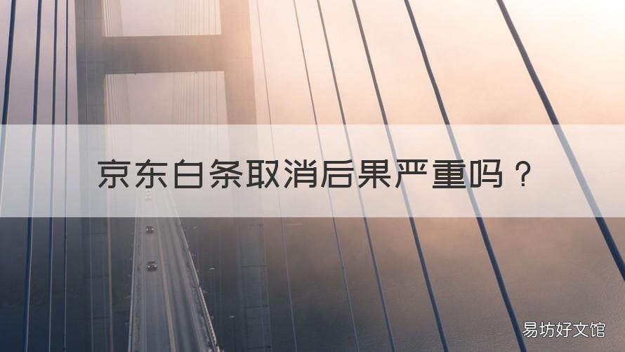 京东白条取消后果严重吗 京东白条要取消了吗