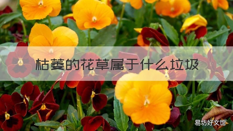 枯萎的花草属于什么垃圾 枯萎的花草是什么垃圾