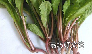 萝卜缨子的功效与禁忌 吃萝卜缨子有什么好处和坏处
