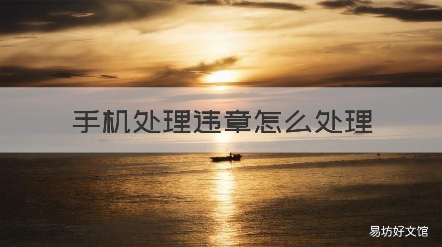 手机处理违章怎么处理 手机处理违章怎么处理别人的违章