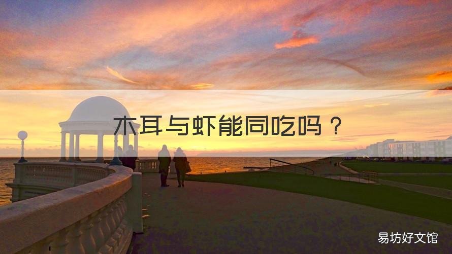 木耳与虾能同吃吗 木耳与虾能同吃吗早餐