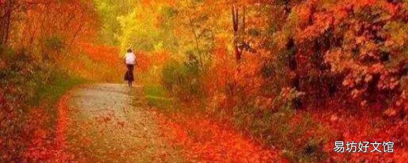 枫林是什么季节才有 枫林是什么季节才有的树