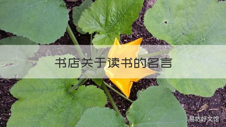 書店關于讀書的名言 關于書的名言關于讀書的名言