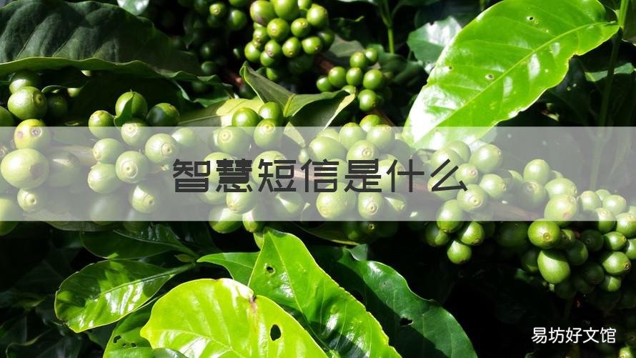 智慧短信是什么 智慧科技短信