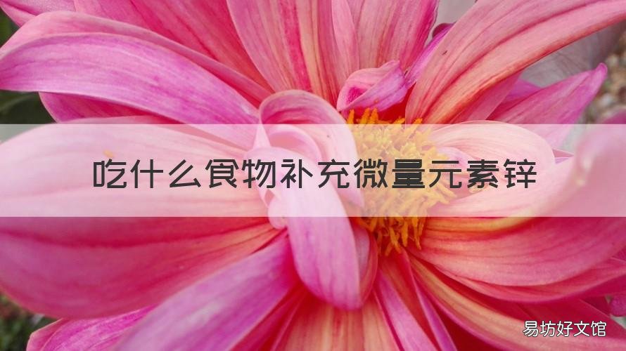 吃什么食物补充微量元素锌 吃什么食物补充微量元素锌最好