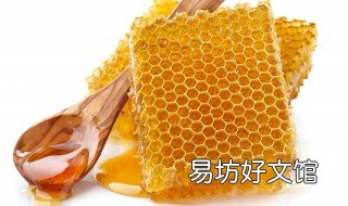 野蜂巢的藥用價值 野蜂巢的藥用功效與作用