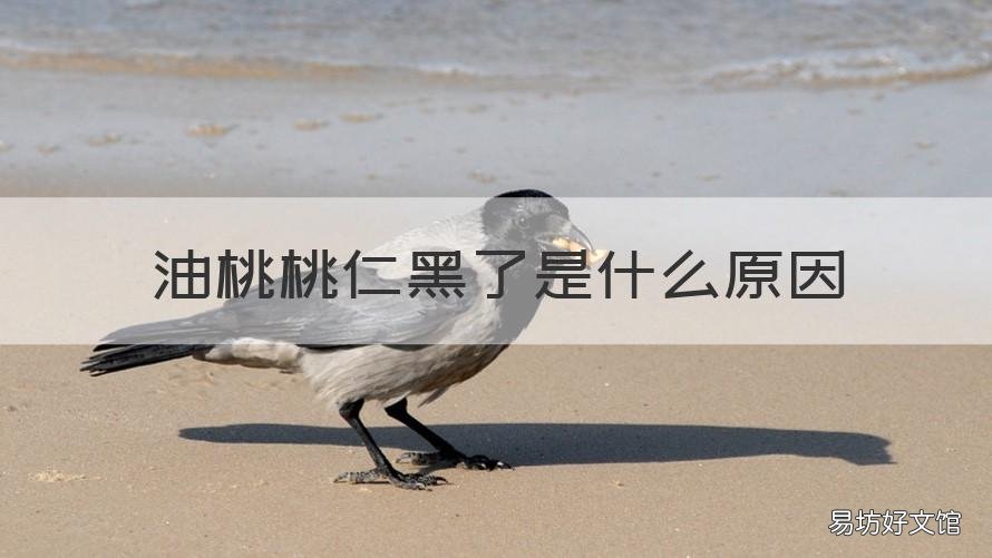 油桃桃仁黑了是什么原因 油桃桃核发黑