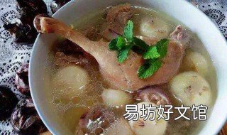 钝鸭子汤怎么炖 鸭子汤怎样炖