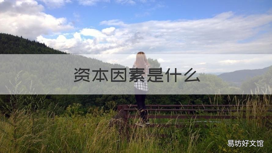 资本因素是什么 资本主义因素是什么