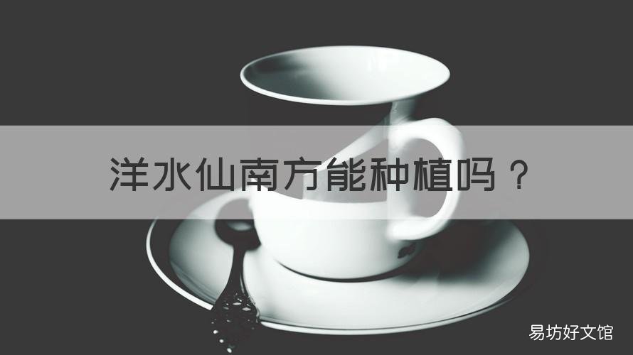 洋水仙南方能种植吗 北方洋水仙什么时候种植