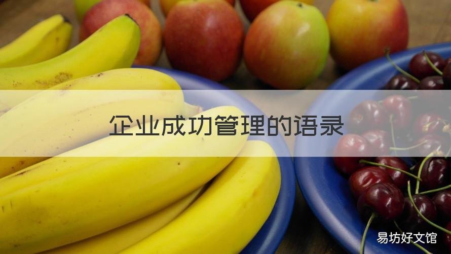 企业成功管理的语录 企业管理语录经典语录