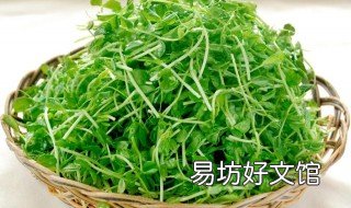 羊豆苗怎么用 羊豆苗什么时间打