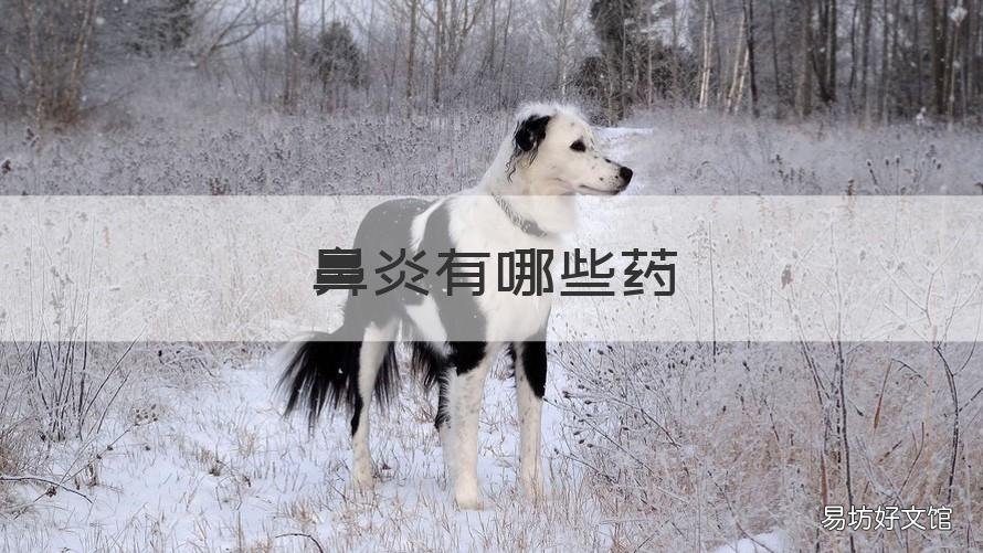 鼻炎有哪些药 过敏性鼻炎有哪些药