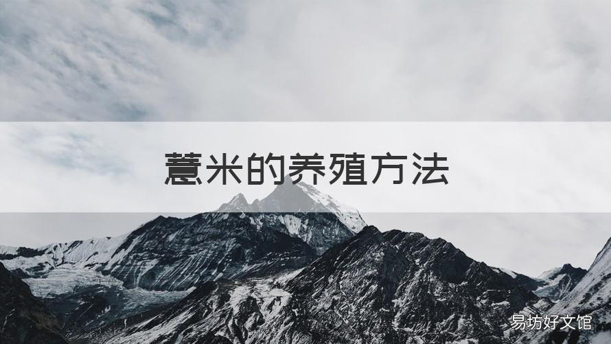 薏米的养殖方法 薏米的养殖方法和技术