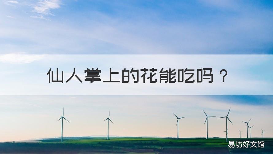 仙人掌上的花能吃吗 仙人掌花可以吃吗