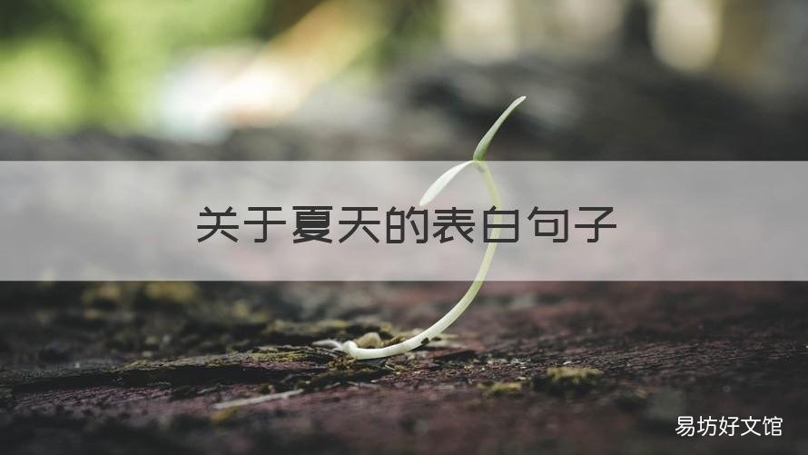 关于夏天的表白句子 表达夏天的句子