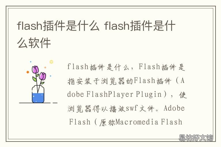 flash插件是什么 flash插件是干什么的