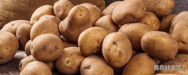 土豆的茎为什么在土里 土豆的地上茎