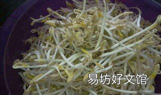 自发豆芽的配方 自发豆芽的做法