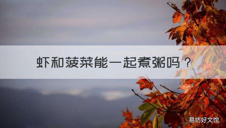 虾和菠菜能一起煮粥吗 菠菜可以和虾仁一起熬粥吗