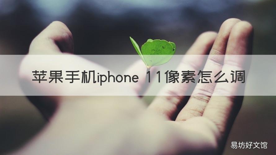 苹果手机iphone 11像素怎么调 iphone11的像素怎么调