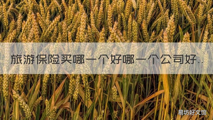 旅游保险买哪一个好哪一个公司好 旅游的保险哪里买比较好
