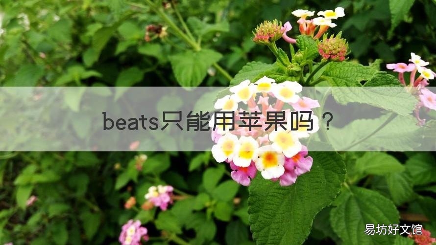 beats只能用苹果吗 beats只能给苹果用吗