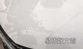 擦车除树胶的最好方法 擦车上的树胶用什么