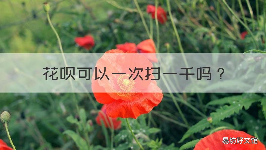 花呗可以一次扫一千吗 花呗每天只能扫1000