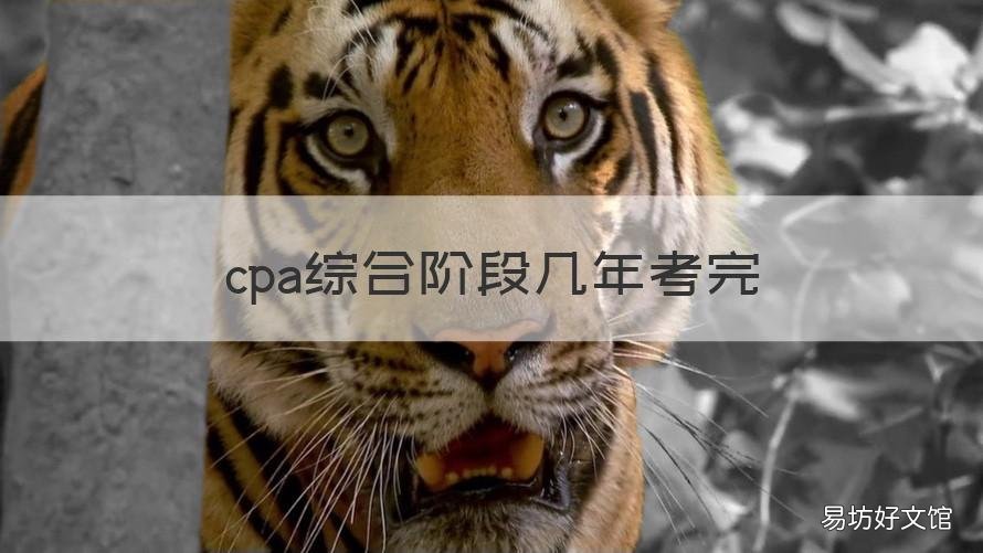 cpa综合阶段几年考完 cpa还要考综合阶段吗