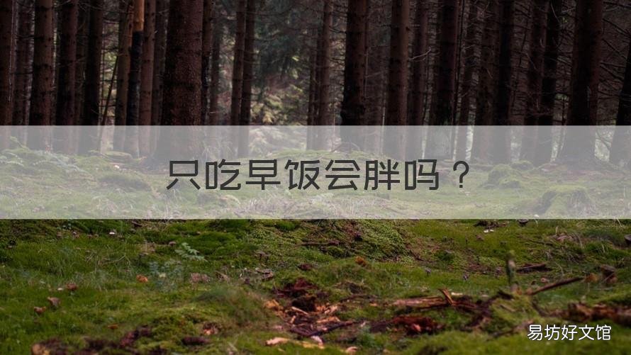 只吃早饭会胖吗 每天只吃早饭会胖吗