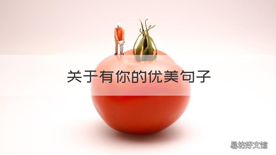 关于有你的优美句子 关于有你就好的句子