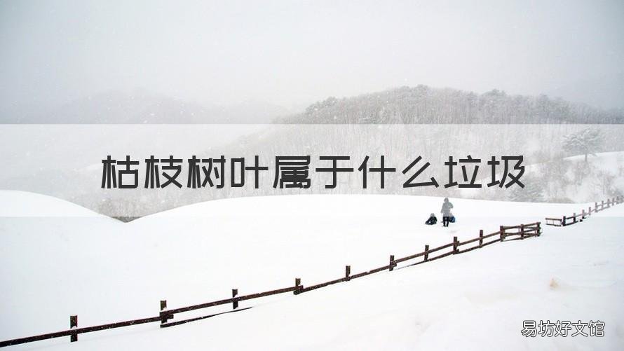 枯枝树叶属于什么垃圾 枯树叶属于什么垃圾?