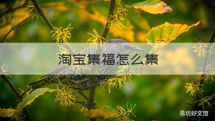 淘宝集福怎么集 淘宝集福怎么集福