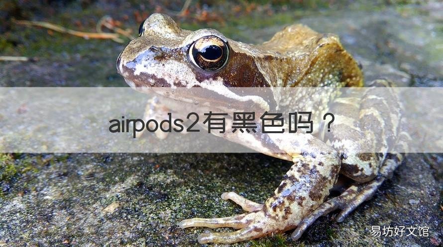 airpods2有黑色吗 airpods2黑色点是干嘛用的