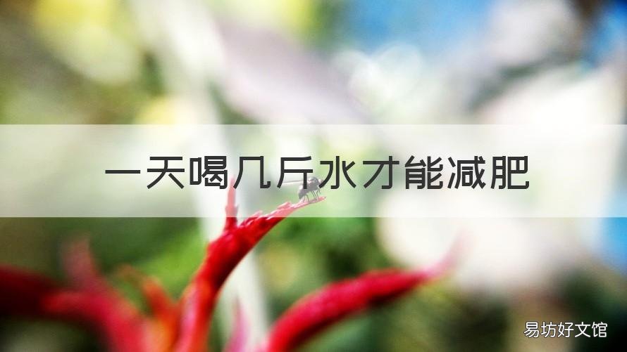 一天喝几斤水才能减肥 一天喝多少喝水能减肥