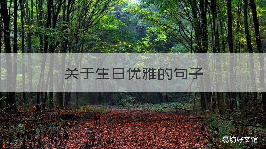 关于生日优雅的句子 关于生日优雅的句子简短