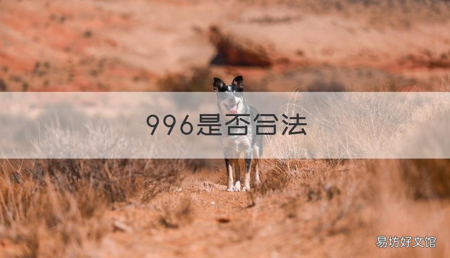 996是否合法 996是否合法,为什么 此现象产生的原因