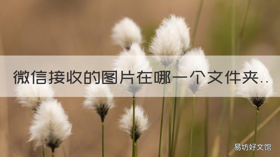 微信接收的图片在哪一个文件夹 微信接收到的图片在哪个文件夹