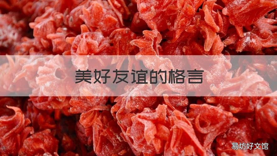 美好友谊的格言 美好友谊的格言短句