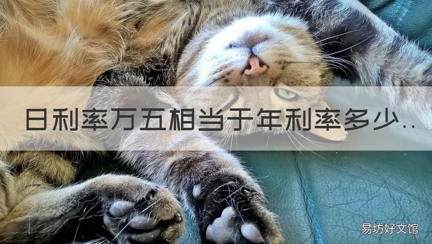 日利率万五相当于年利率多少 日利率万5相当于月息