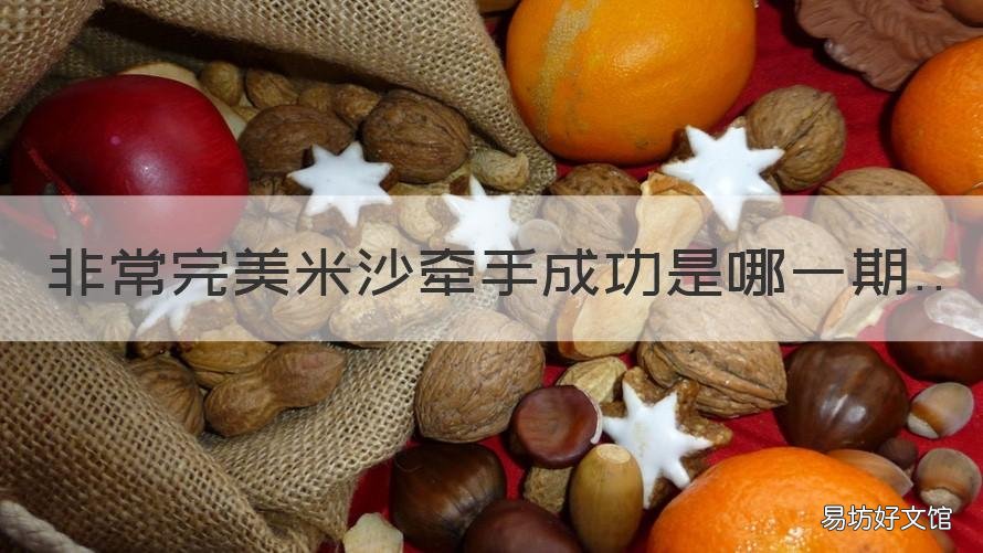 非常完美米沙牵手成功是哪一期 非常完美米沙牵手达莎