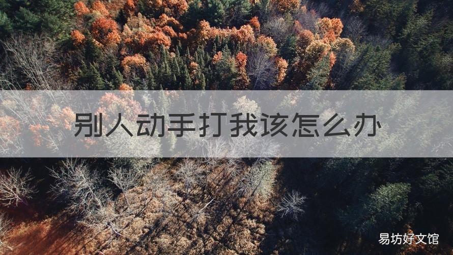 别人动手打我该怎么办 别人先动手打我我该怎么办