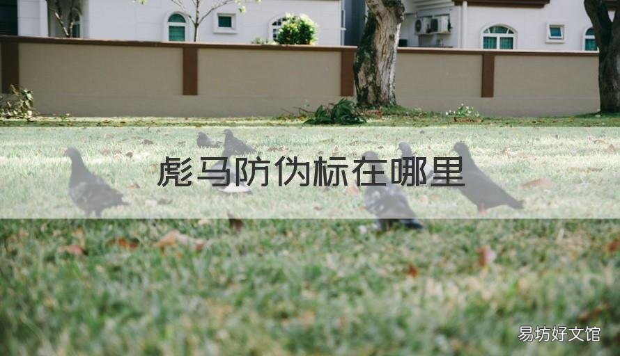 彪马防伪标在哪里 彪马防伪标签
