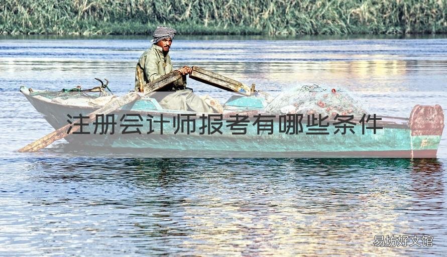 注册会计师报考有哪些条件 报考注册会计师的条件是什么