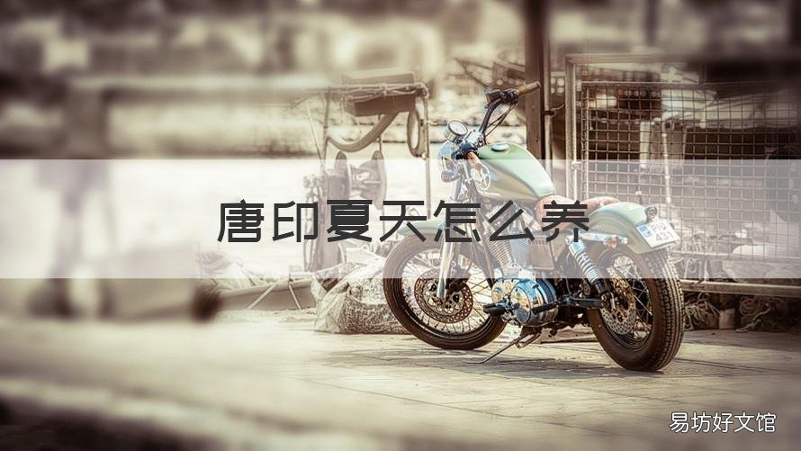 唐印夏天怎么养 唐印夏天好养吗