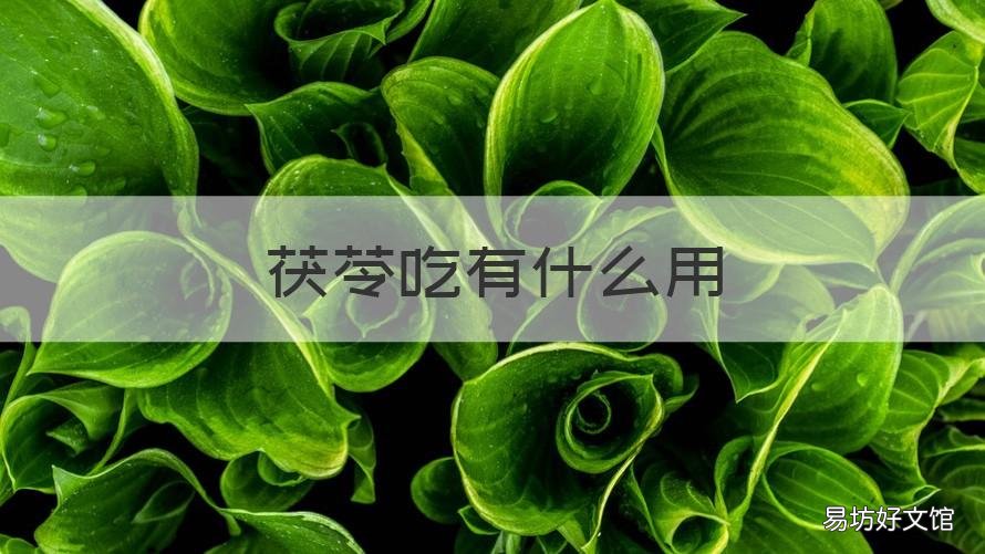 茯苓吃有什么用 茯苓吃有什么功效
